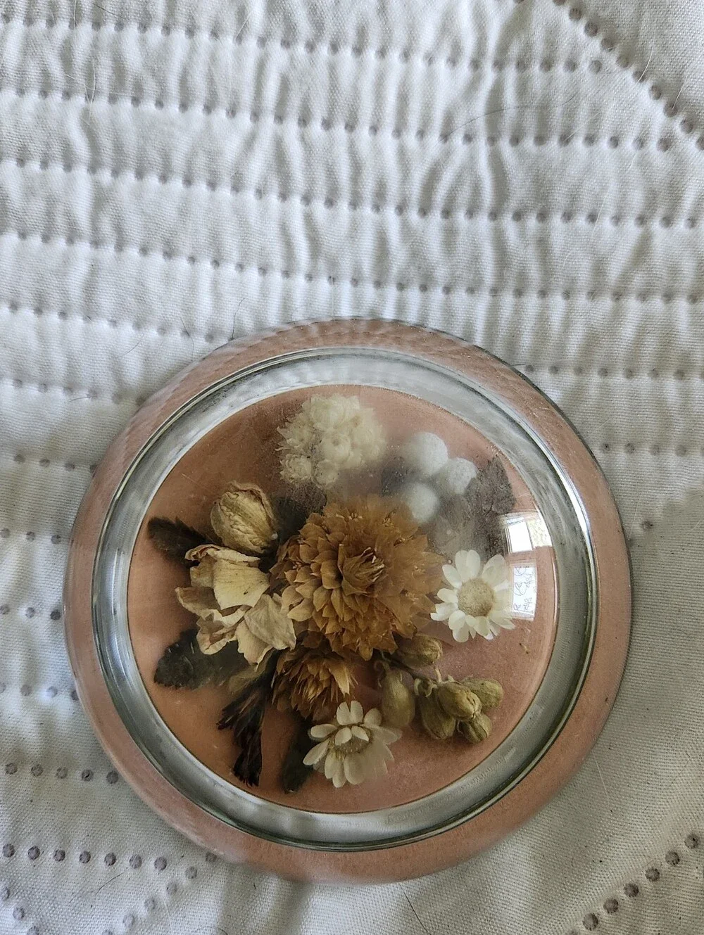 18th Century Preserved Dried Flower Dome Accent Paperweight